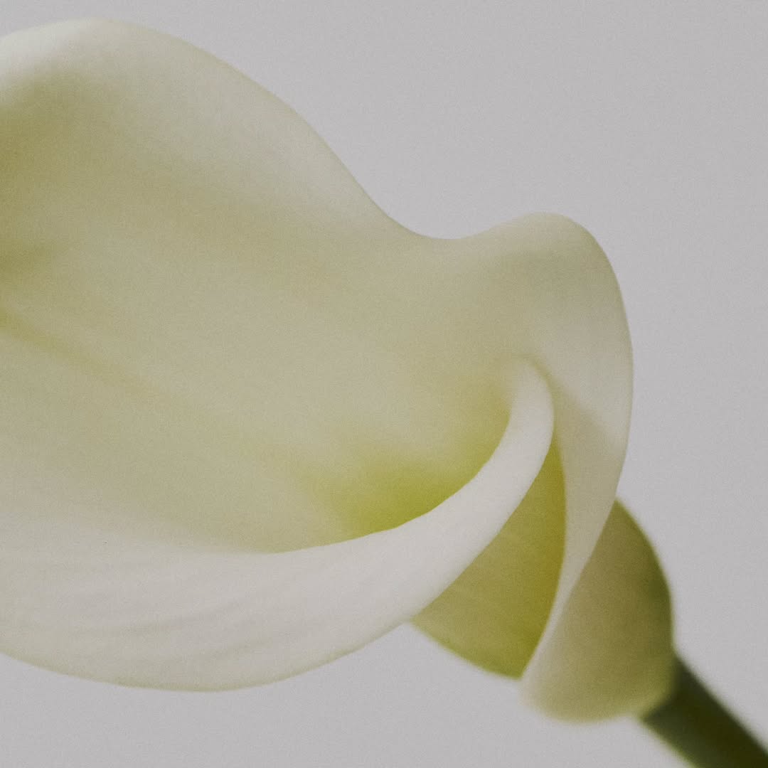 Dermaplaning at Home: Complete Guide & Best Products 2026